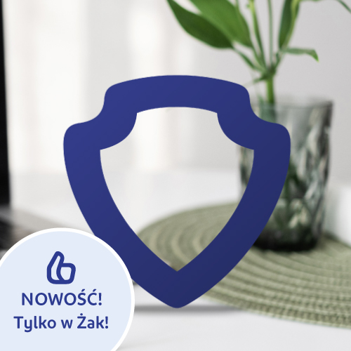 Własna działalność gospodarcza